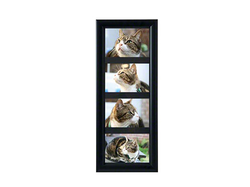 Multi-frame Picture Frame Casket